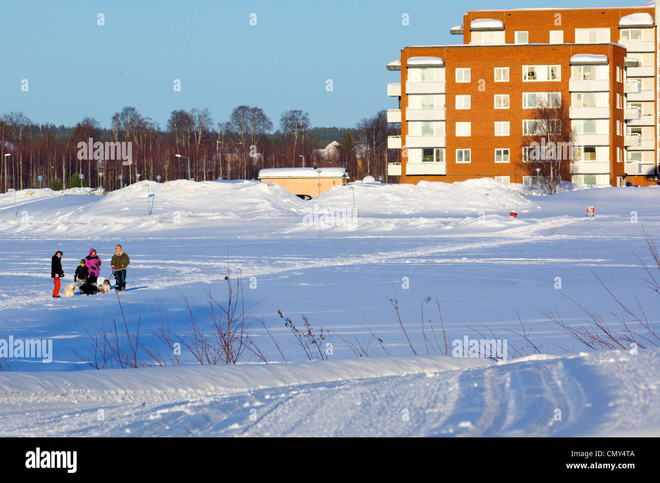 People and dogs on snow covered frozen lake in Boden, Norrbotten
