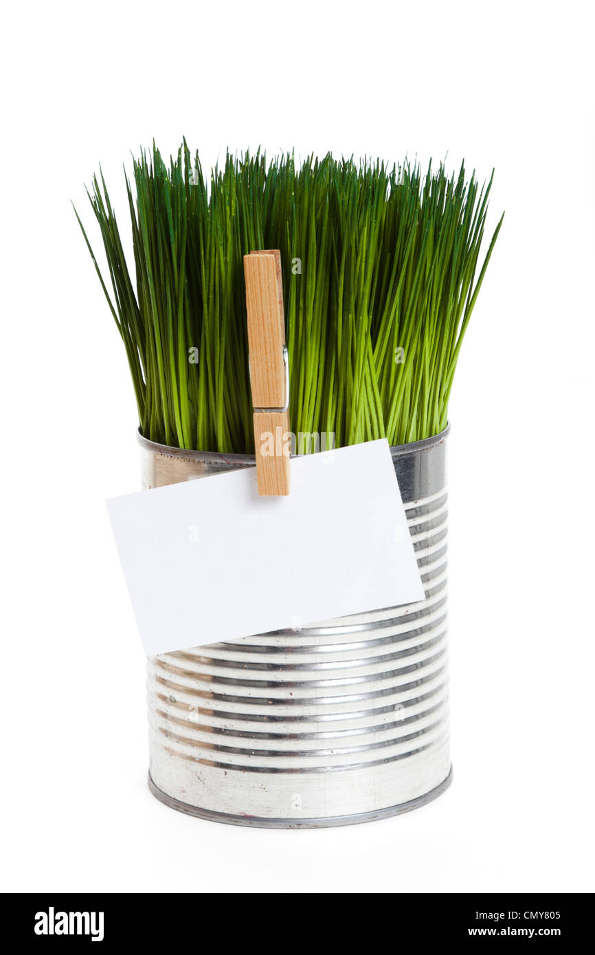 Green grass and metal can, concept of Environmental Conservation Stock Photo