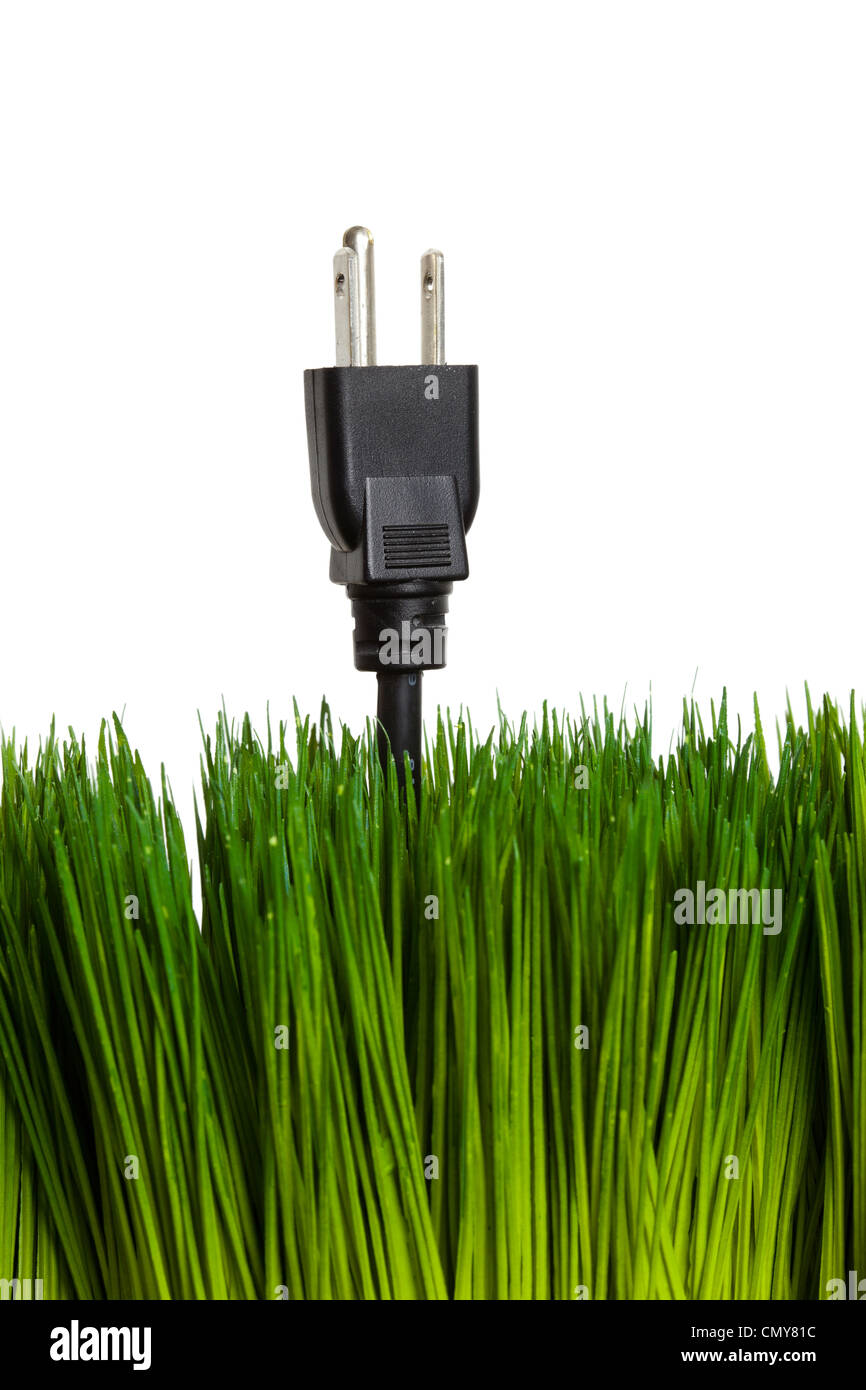Green grass and Electric Plug, concept of Green energy Stock Photo