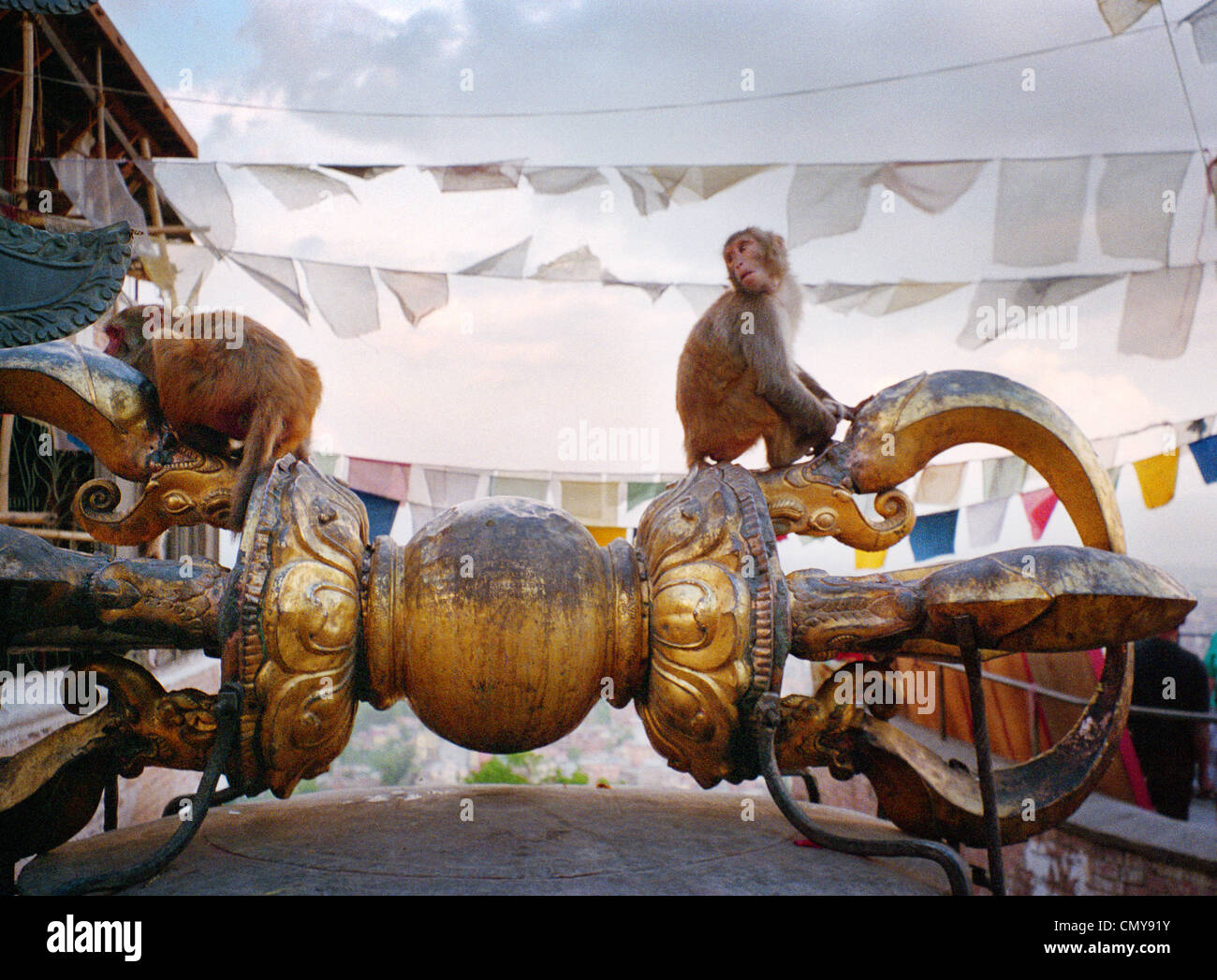 The Sacred Monkeys of Swayambhunath, The Dorje or Vajra Stock Photo - Alamy