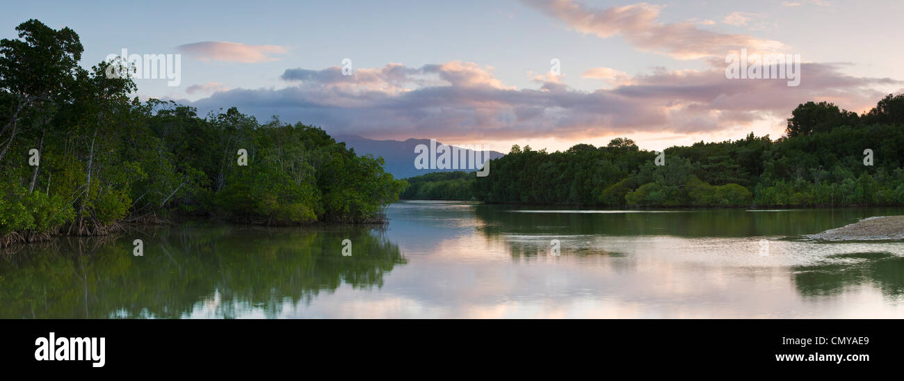 Mangrove lined estuary.  Machans Beach, Cairns, Queensland, Australia Stock Photo