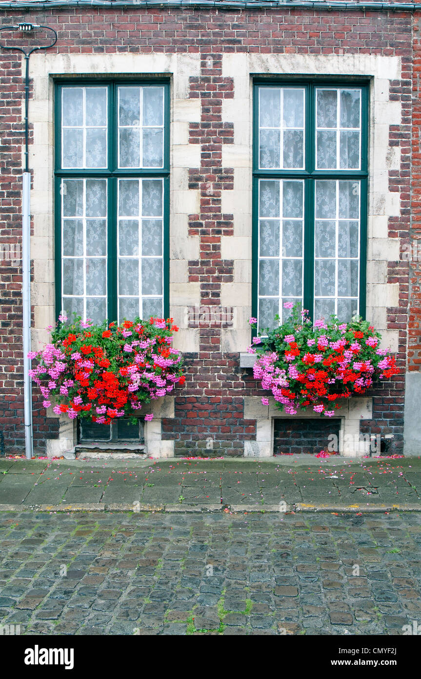 Belgium, Flanders, Ghent, Flower Pot and Windows Stock Photo Alamy