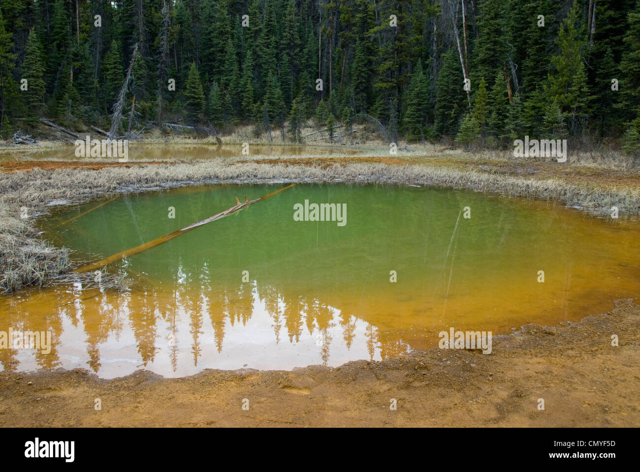 Paint Pots, source of ochre, Kootenay National Park. British Colombia