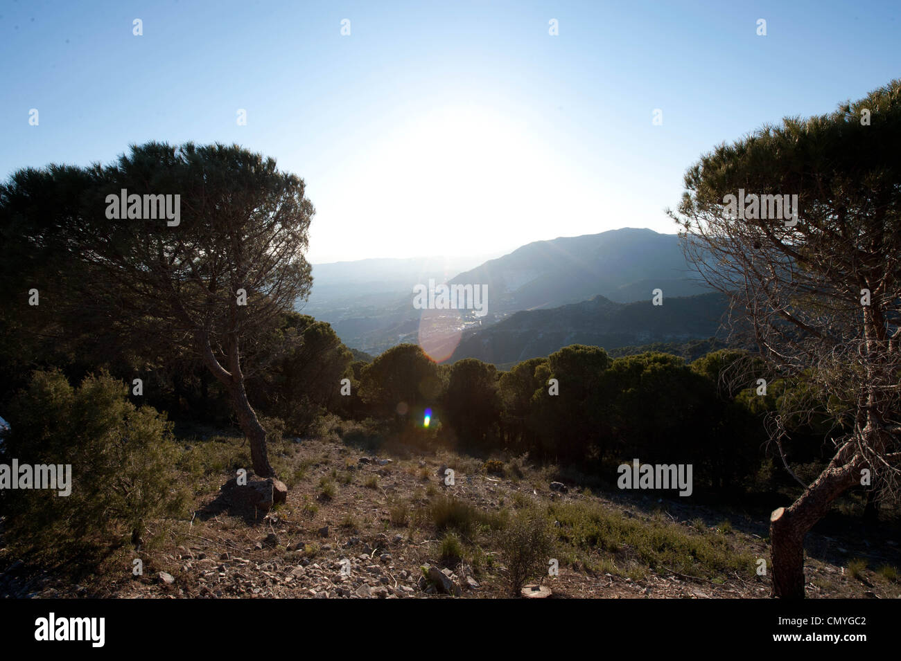 sunset at the sierra de mijas with sun and flair shining through the trees Stock Photo
