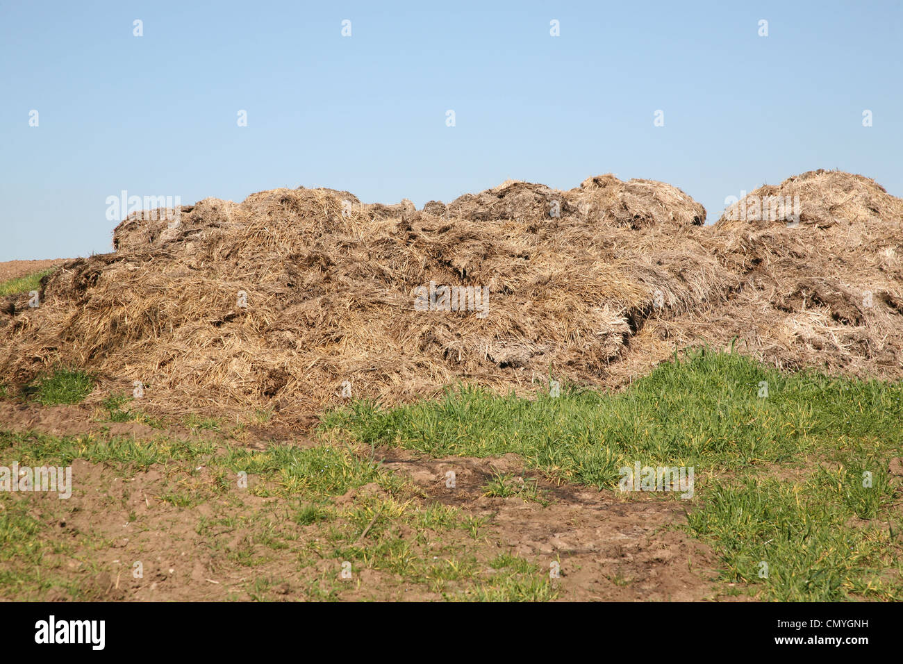 Animal dung hi-res stock photography and images - Alamy
