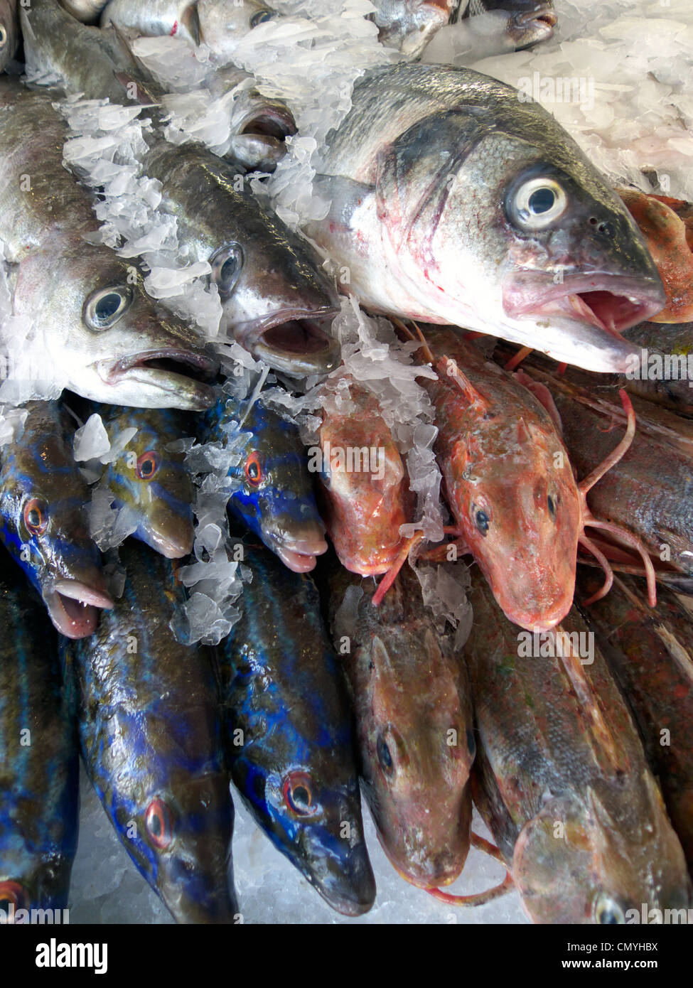 Display Of Wet Fish Stock Photos & Display Of Wet Fish Stock Images Alamy