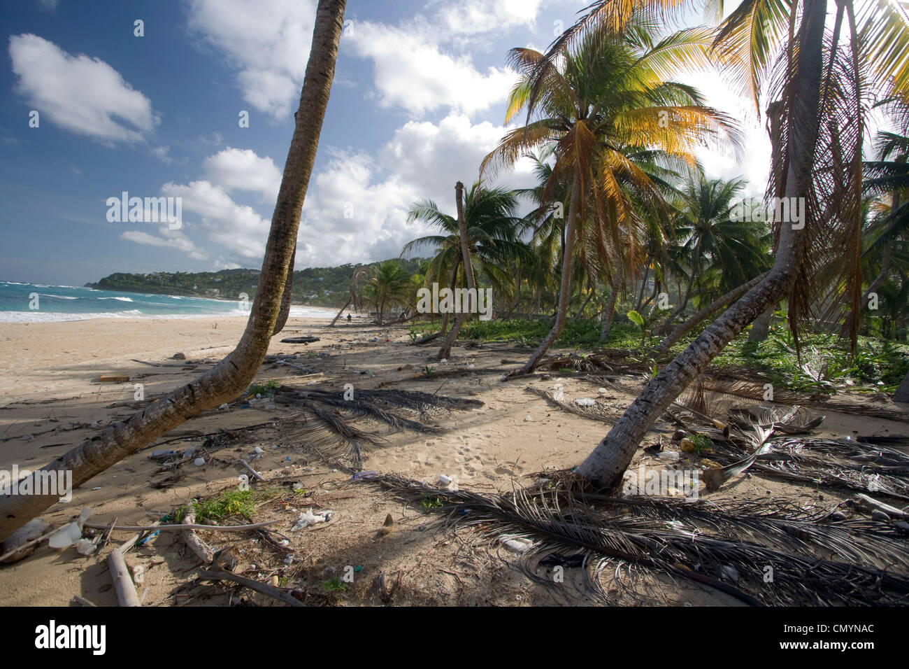 Jamaica Long bay at east coast after Hurricane Dean destroyd  palm trees and beach bars and houses Stock Photo