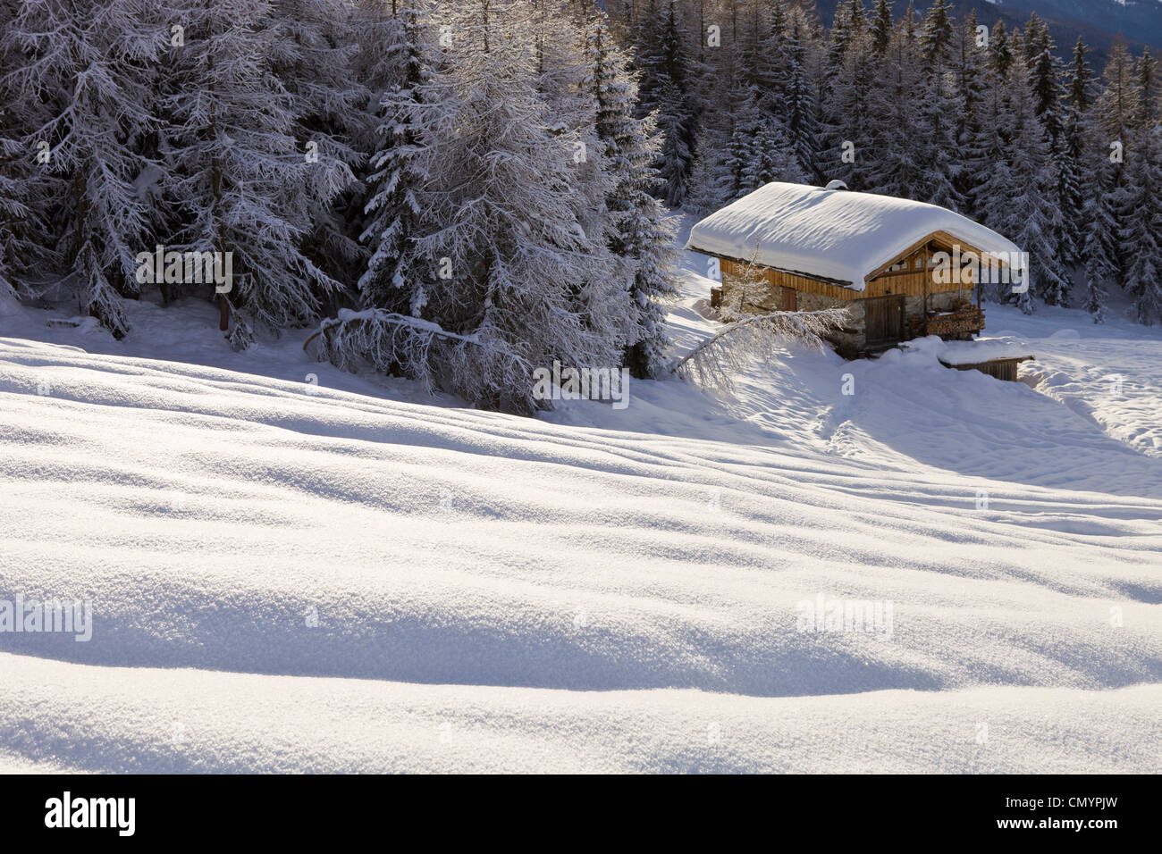France, Savoie, Les Arcs 1800, Massif de La Vanoise, high Tarentaise valley, chalet isolated in the forest Stock Photo