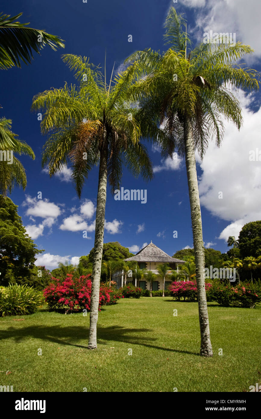 Sir Seewoosagur Ramgoolam Royal Botanical Garden of Pamplemousses, Mauritius, Africa Stock Photo