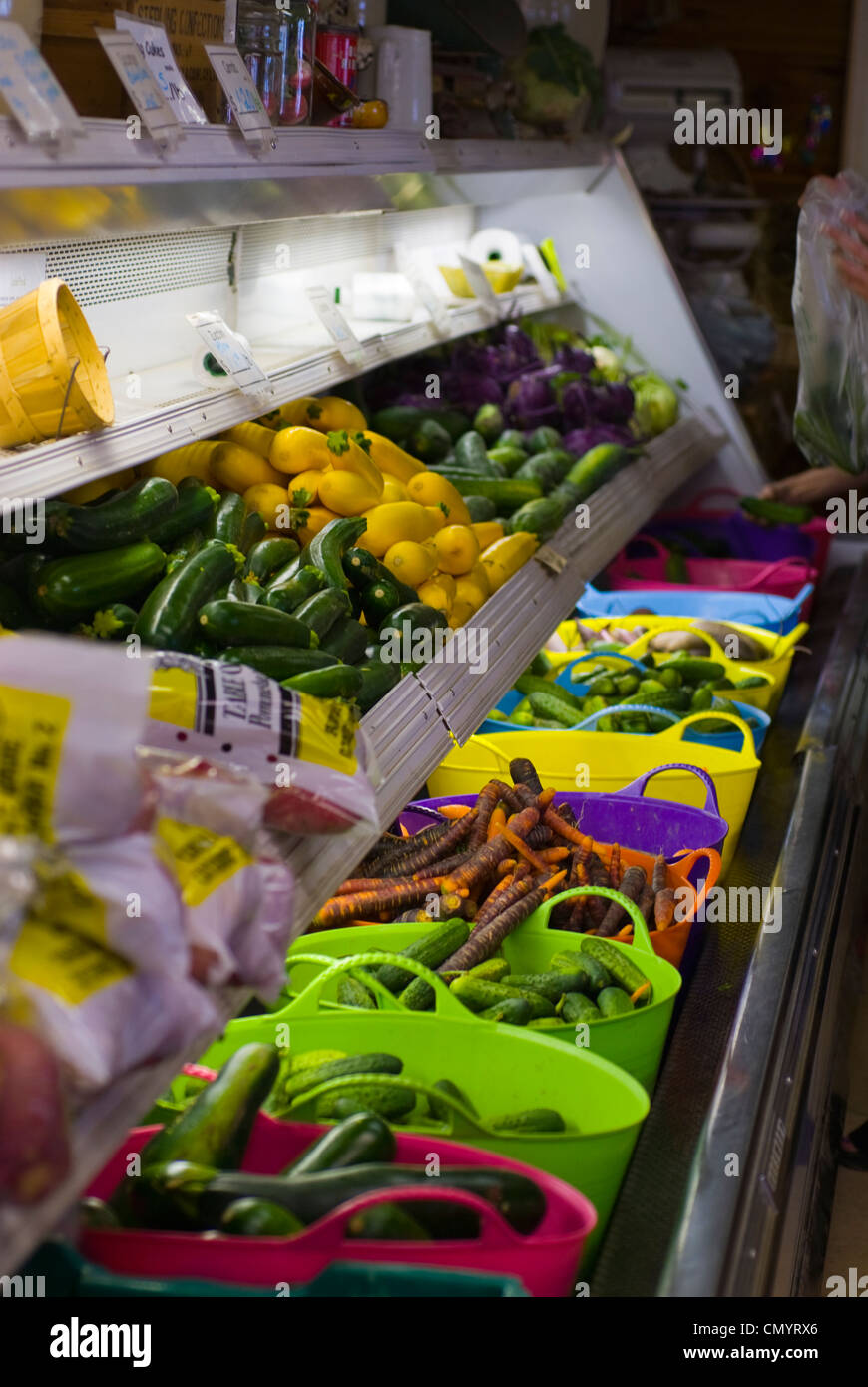 A variety of vegetables, Lincoln Gardens, Lumsden, Saskatchewan Stock