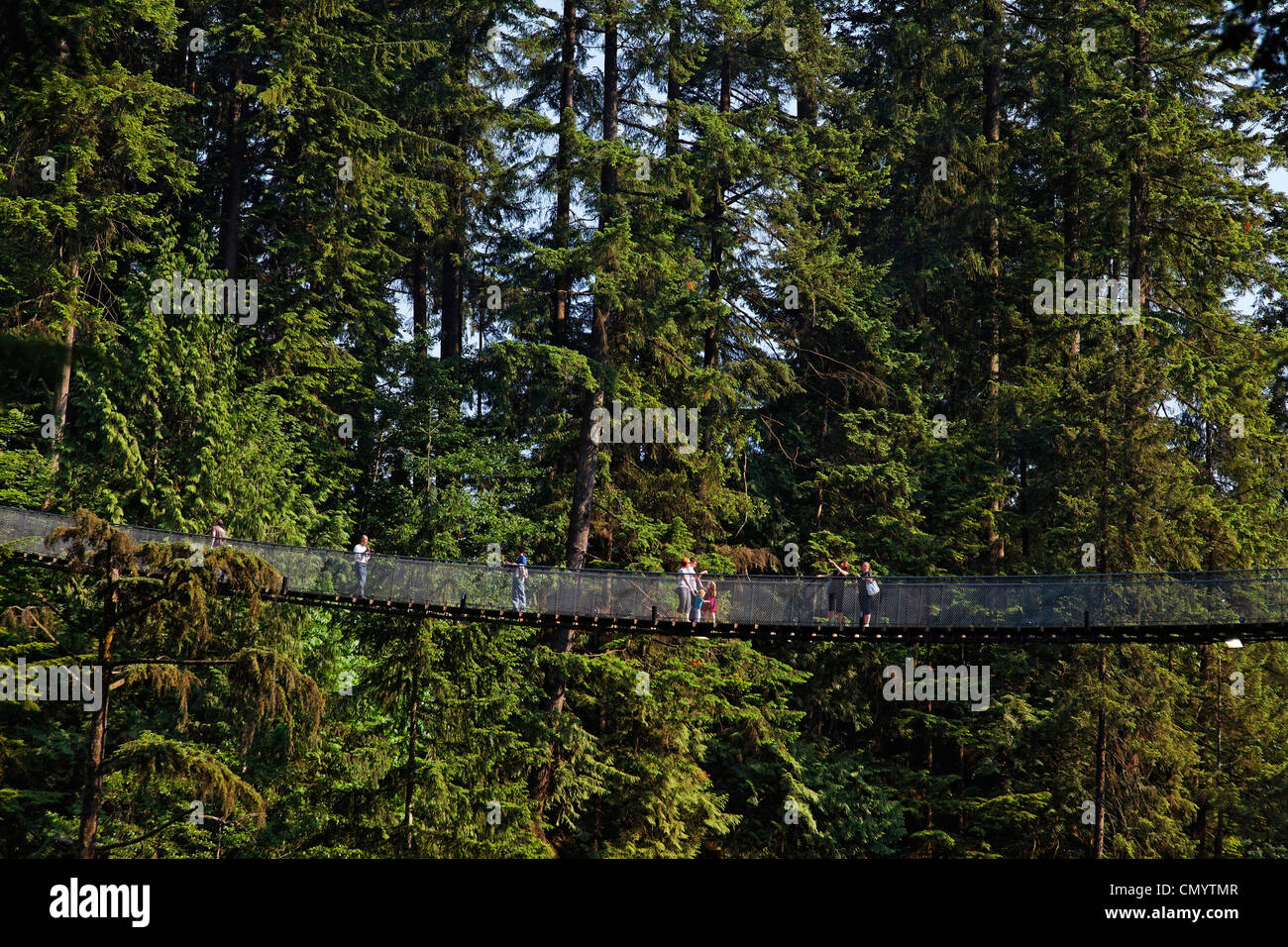 Lynn Canyon, Capilano Suspension Bridge, Vancouver, Canada, North