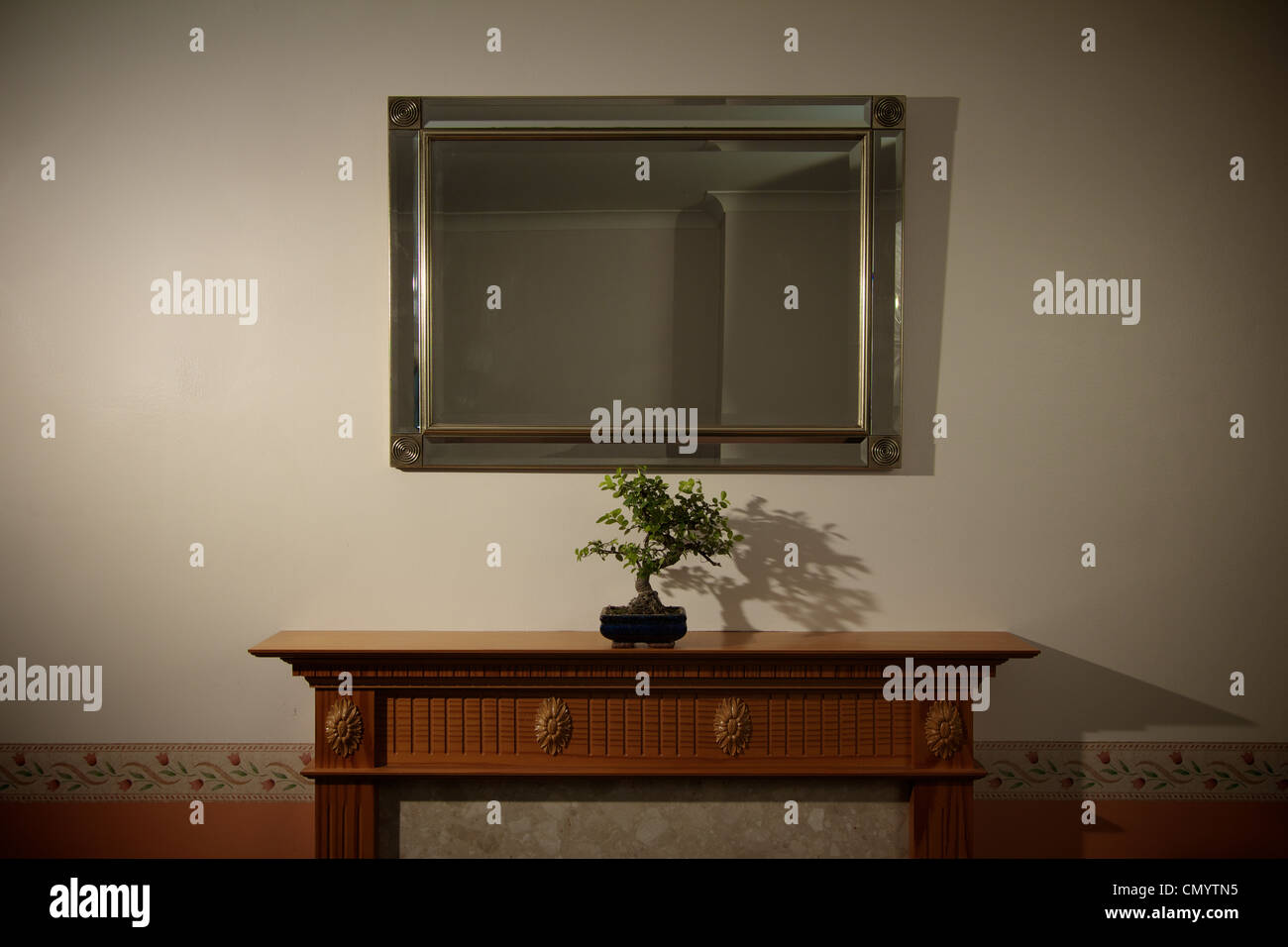A lone Bonsai Tree on an empty mantel with large mirror. Stock Photo