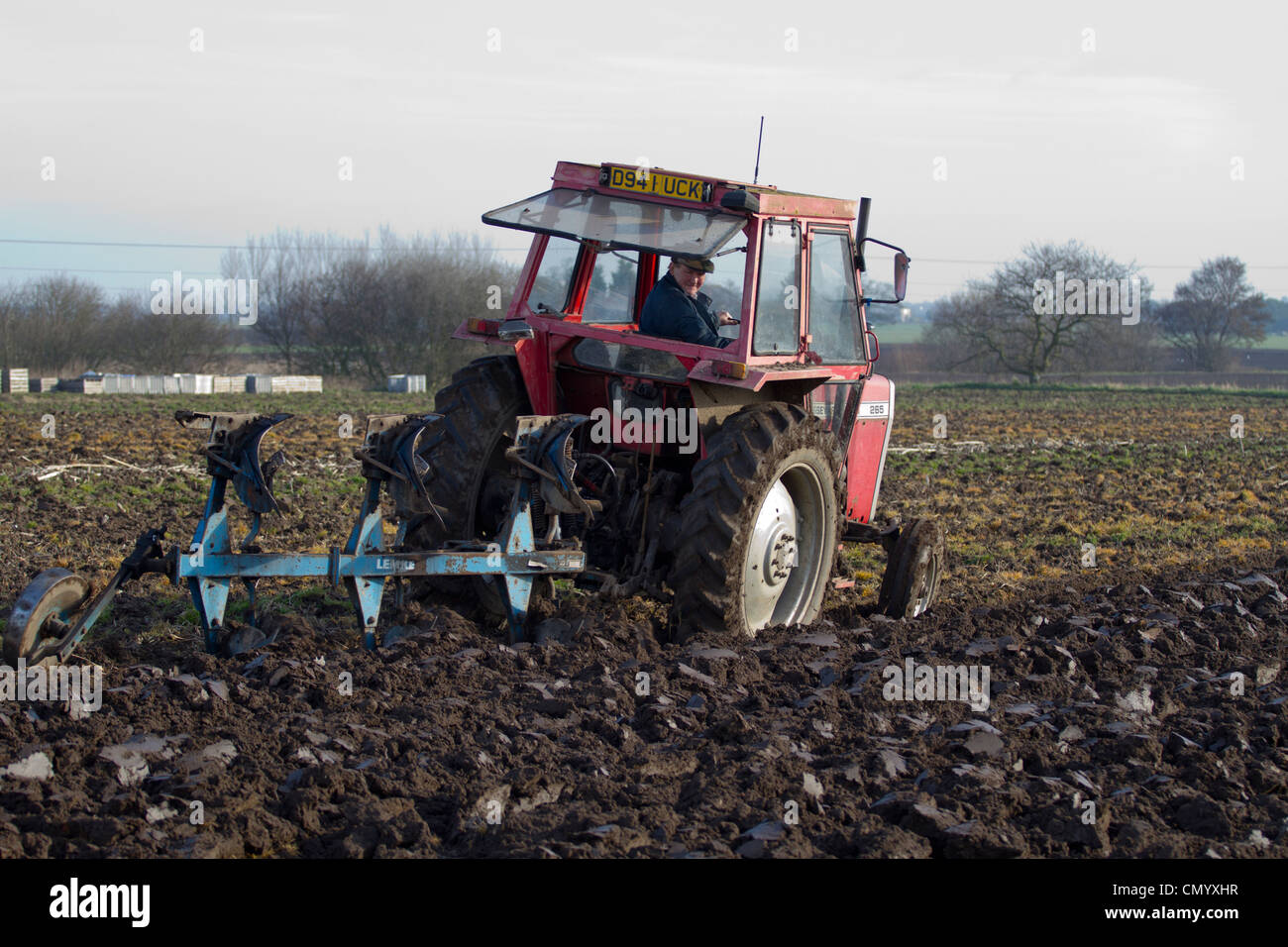 Spring Ploughing of Fields Ploughed Furrows and following Seagulls