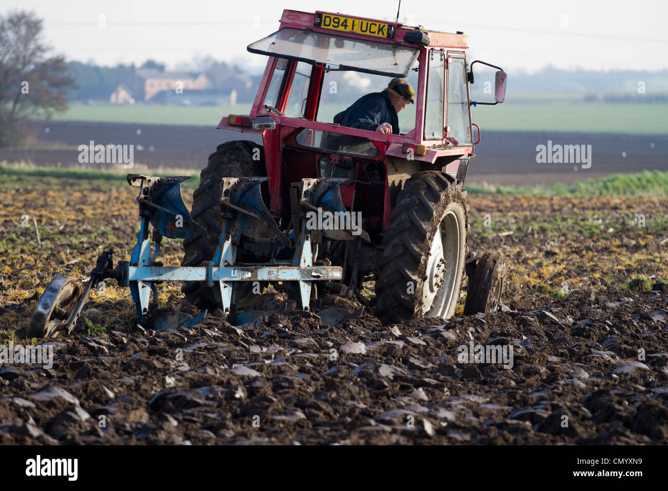 Spring Ploughing of Fields Ploughed Furrows and following Seagulls