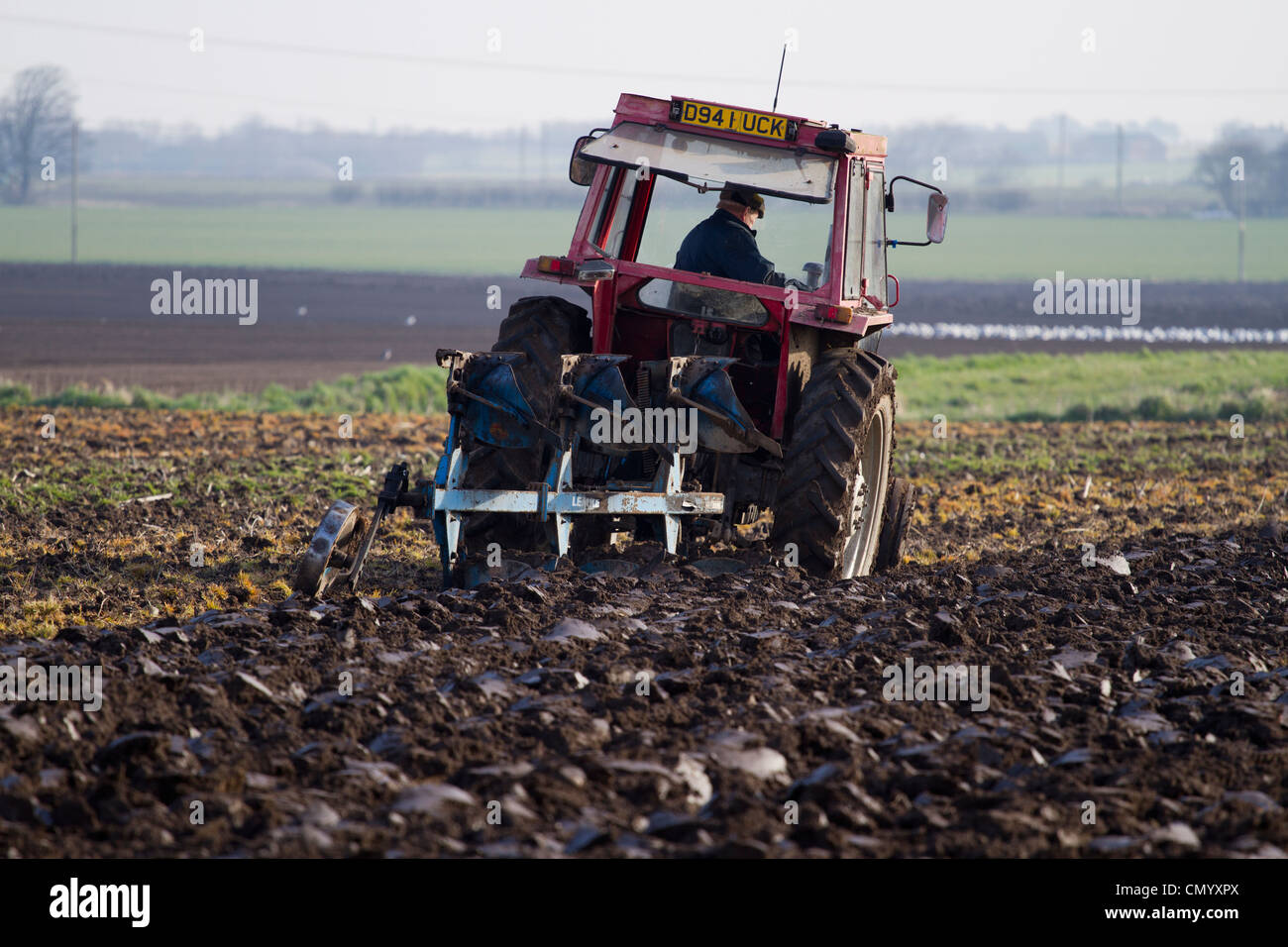 Spring Ploughing of Fields Ploughed Furrows and following Seagulls