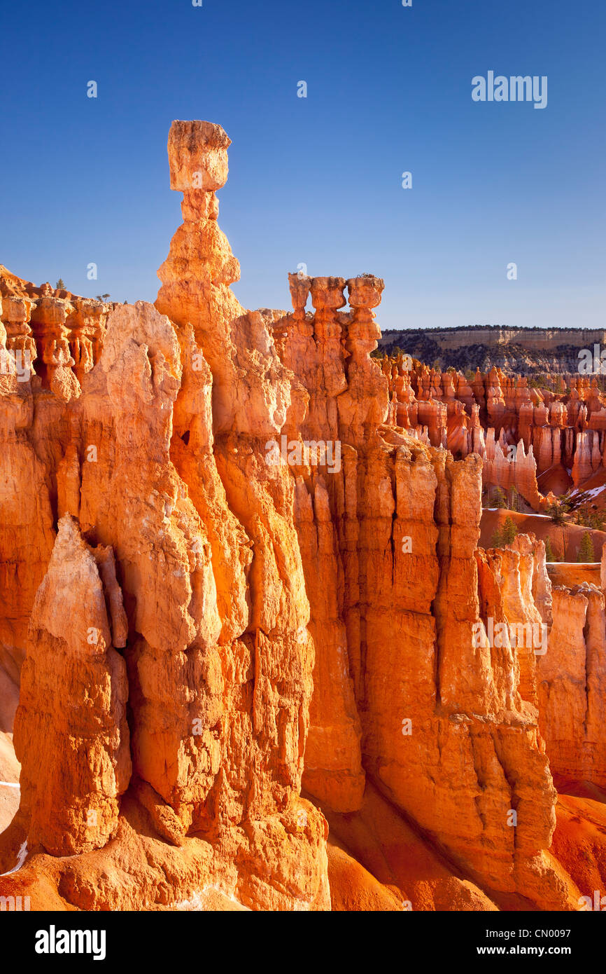 Thor's Hammer rock formation at Sunset Point, Bryce Canyon National Park, Utah USA Stock Photo