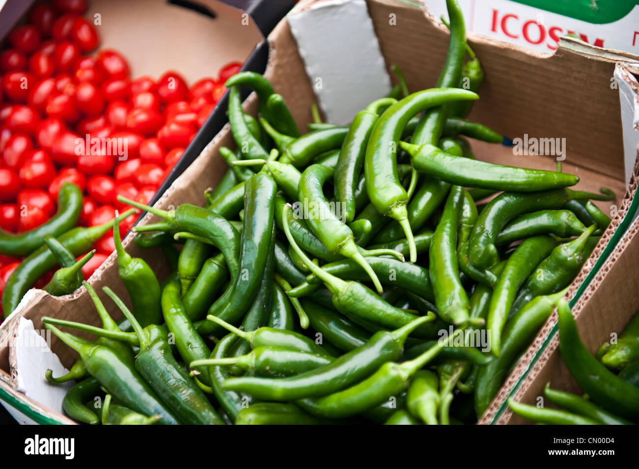 Cardboard boxes of jalapeno peppers beside red tomatoes. Stock Photo