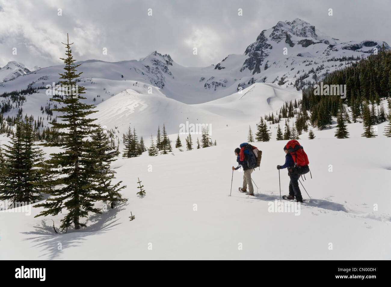 People Snowshoeing on the Cerise Creek trail with the east face of Joffre Creek in background, British Columbia. Stock Photo