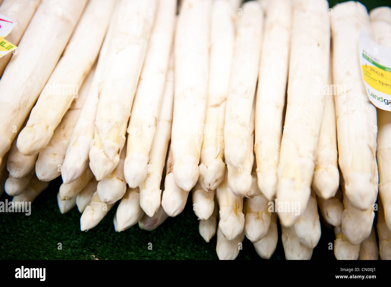 A bunch of white asparagus stacked on top of each other. Stock Photo
