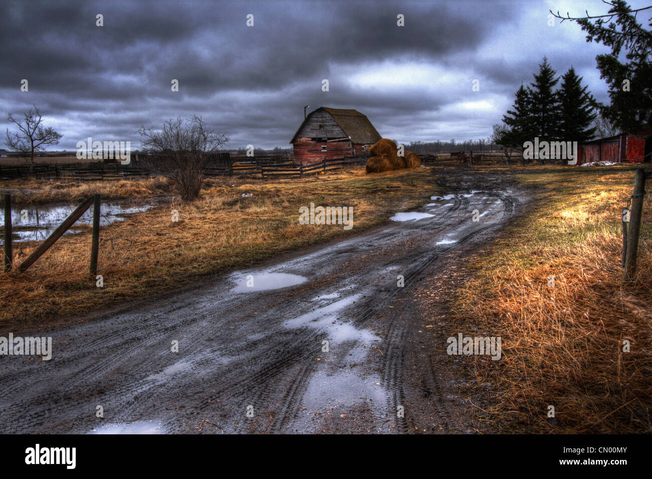 Rural Road and Barn, Fort Saskatchewan, Alberta Stock Photo Alamy