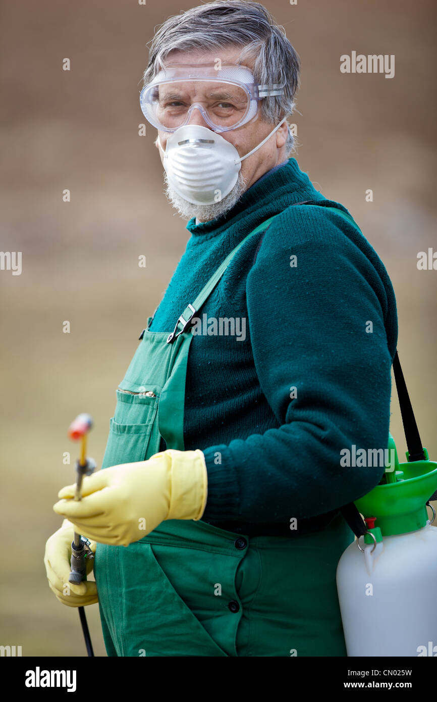 Applying Insecticide Using chemicals in the garden/orchard: gardener applying an insecticide ...