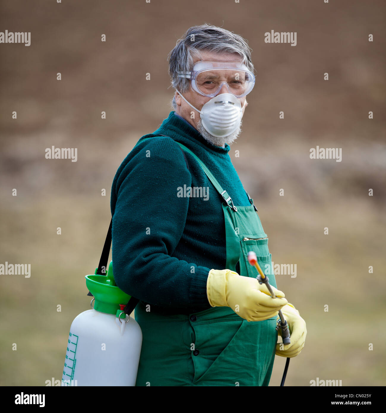 Applying Insecticide Using chemicals in the garden/orchard: gardener applying an insecticide ...