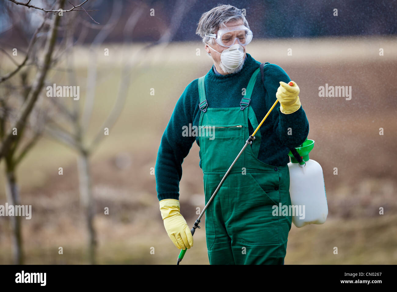 Applying Insecticide Using chemicals in the garden/orchard: gardener applying an insecticide ...