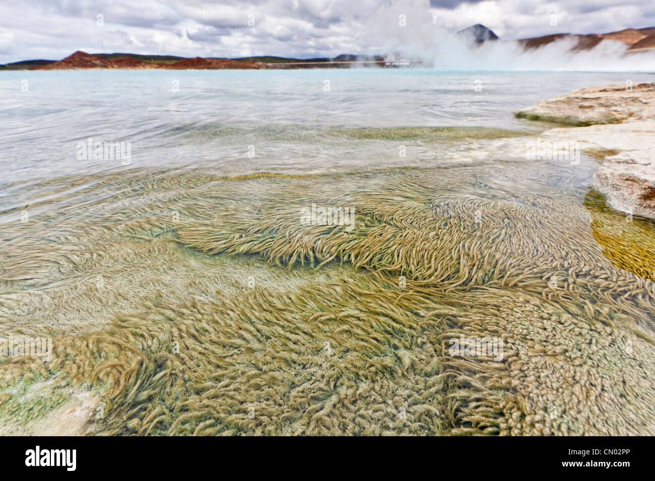 Algae silica and minerals in geothermal hot spring near,  Bjarnarflag Power Station, Iceland Stock Photo