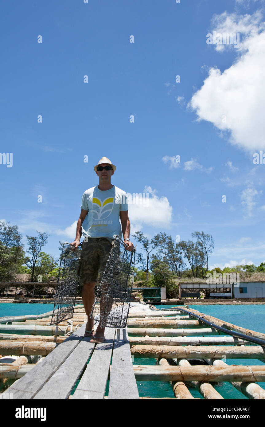 A worker carries pearl oyster cages along the jetty at Kazu Pearls. Friday Island, Torres Strait Islands, Queensland, Australia Stock Photo