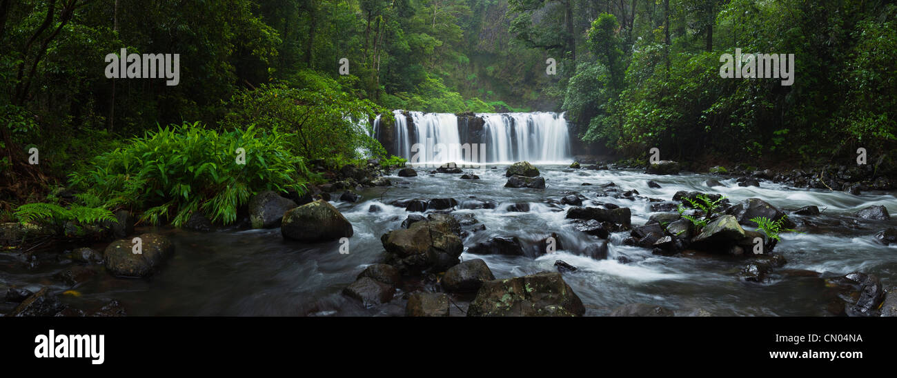 Nandroya Falls in Wooroonooran National Park.  Atherton Tablelands, Innisfail, Queensland, Australia Stock Photo