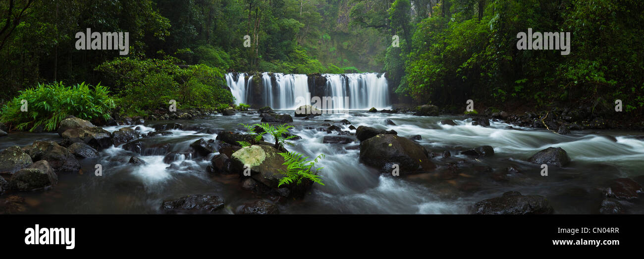 Nandroya Falls in Wooroonooran National Park.  Atherton Tablelands, Innisfail, Queensland, Australia Stock Photo