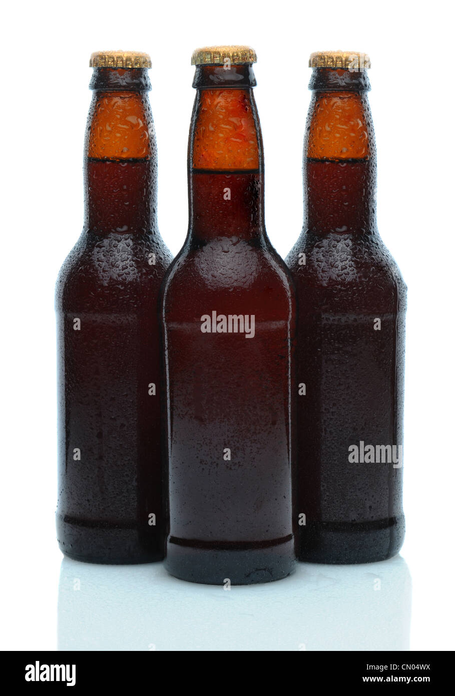 Three brown beer bottles on a white background with reflection. Bottles
