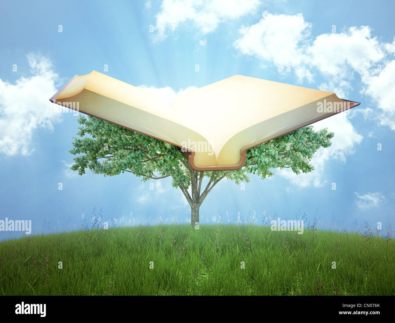 Tree of knowledge hires stock photography and images Alamy