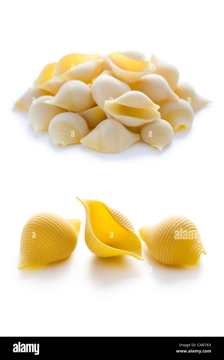 conchiglioni pasta shells dried uncooked Stock Photo