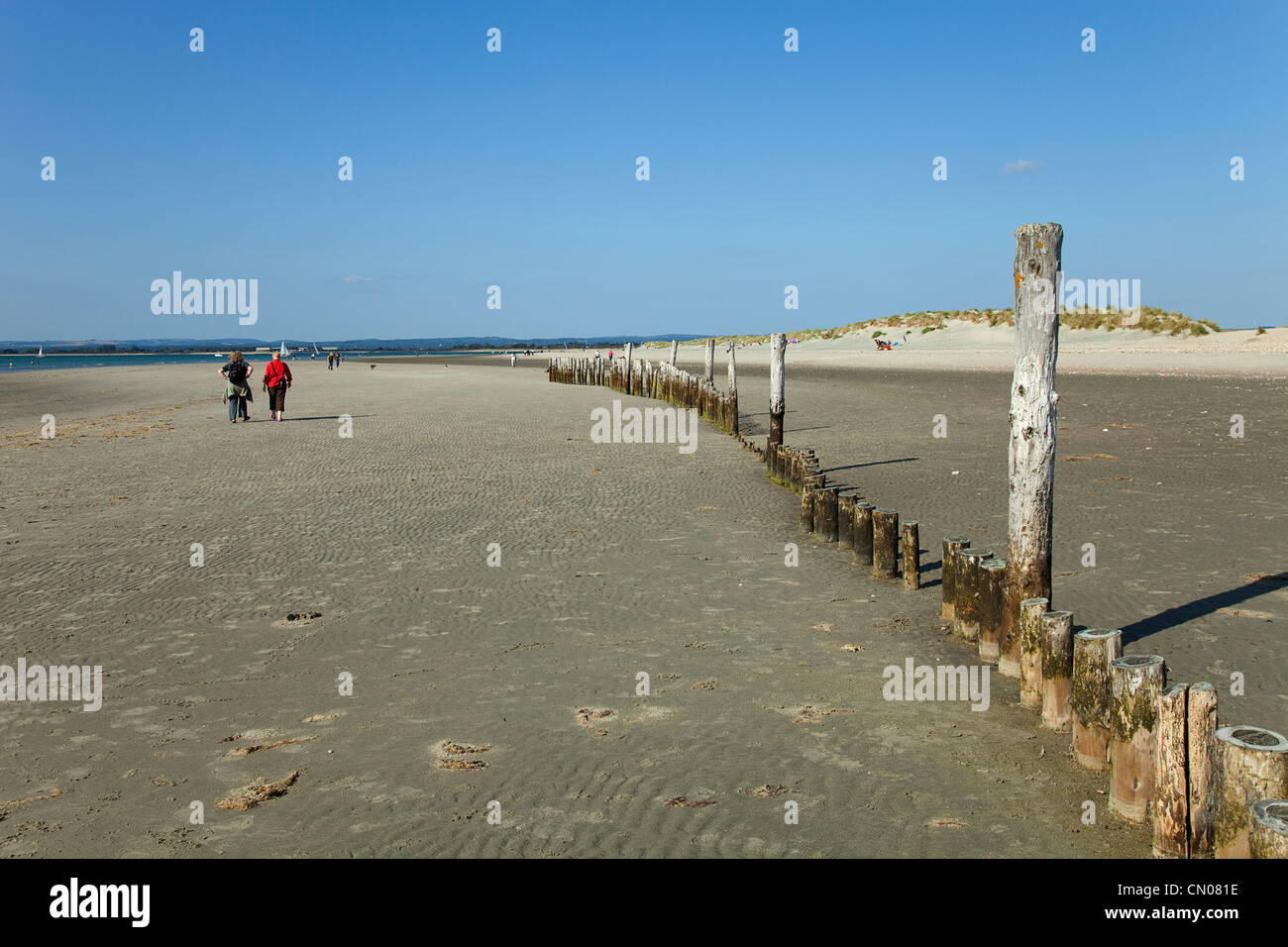 England; West Sussex; Chichester; West Witterings; East Head, Wooden