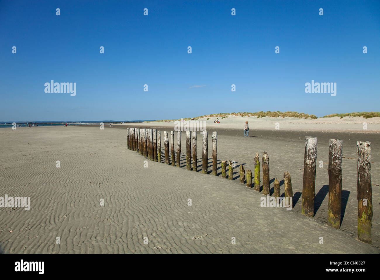 England; West Sussex; Chichester; West Witterings; East Head, Wooden