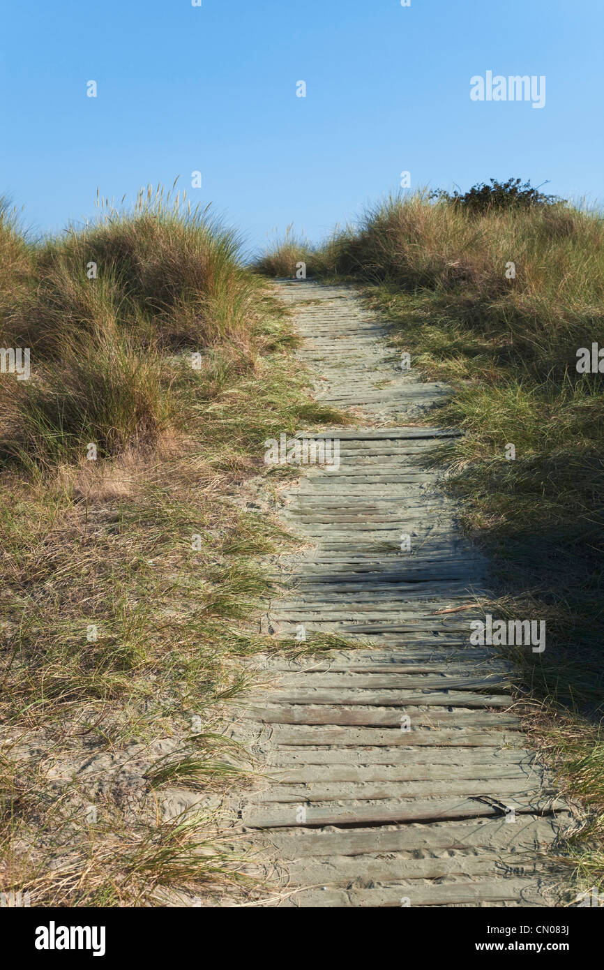 England, West Sussex, West Wittering Beach, East Head, Wooden pathway