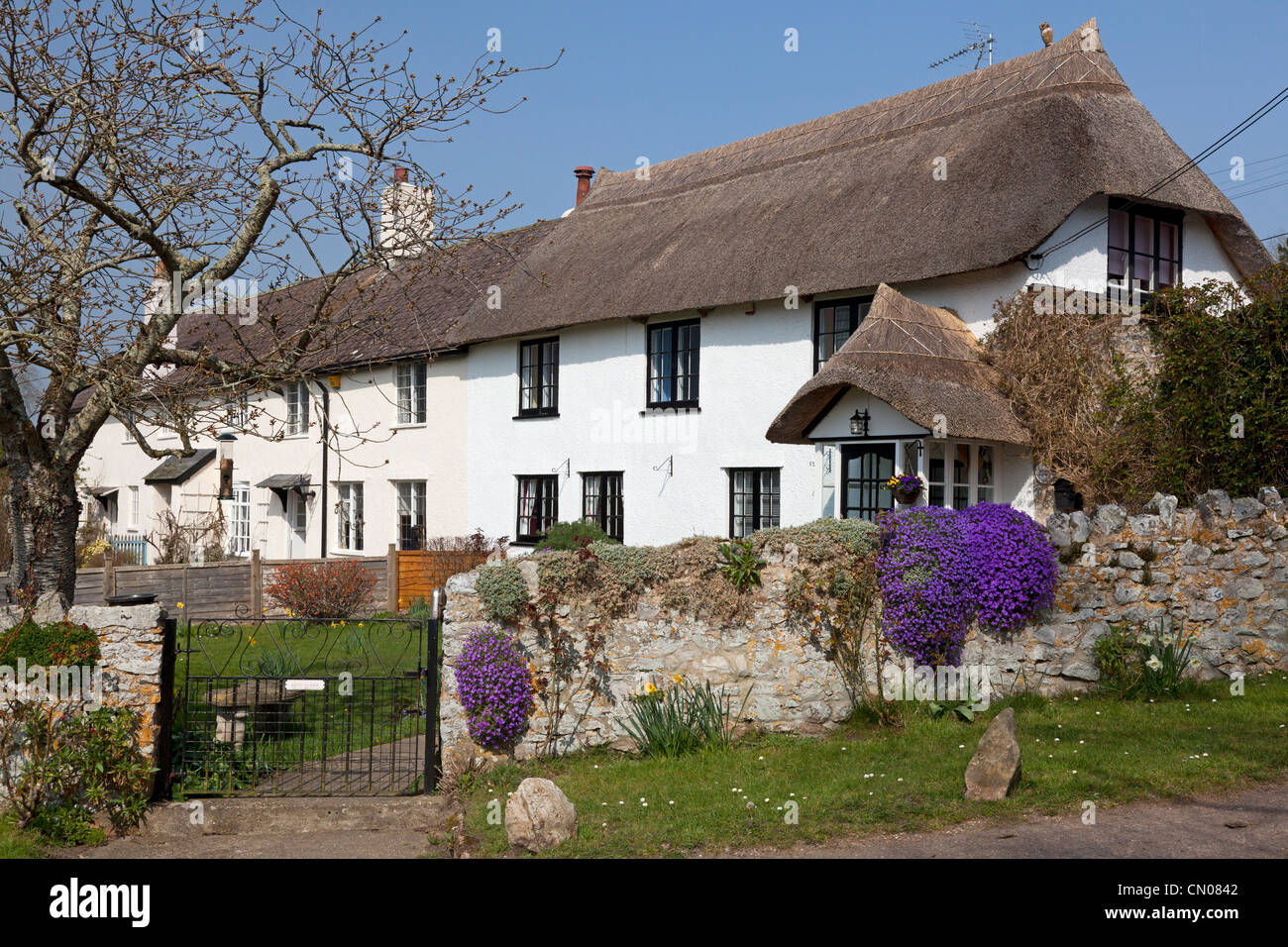 Pretty thatched cottage, Shute, Devon Stock Photo