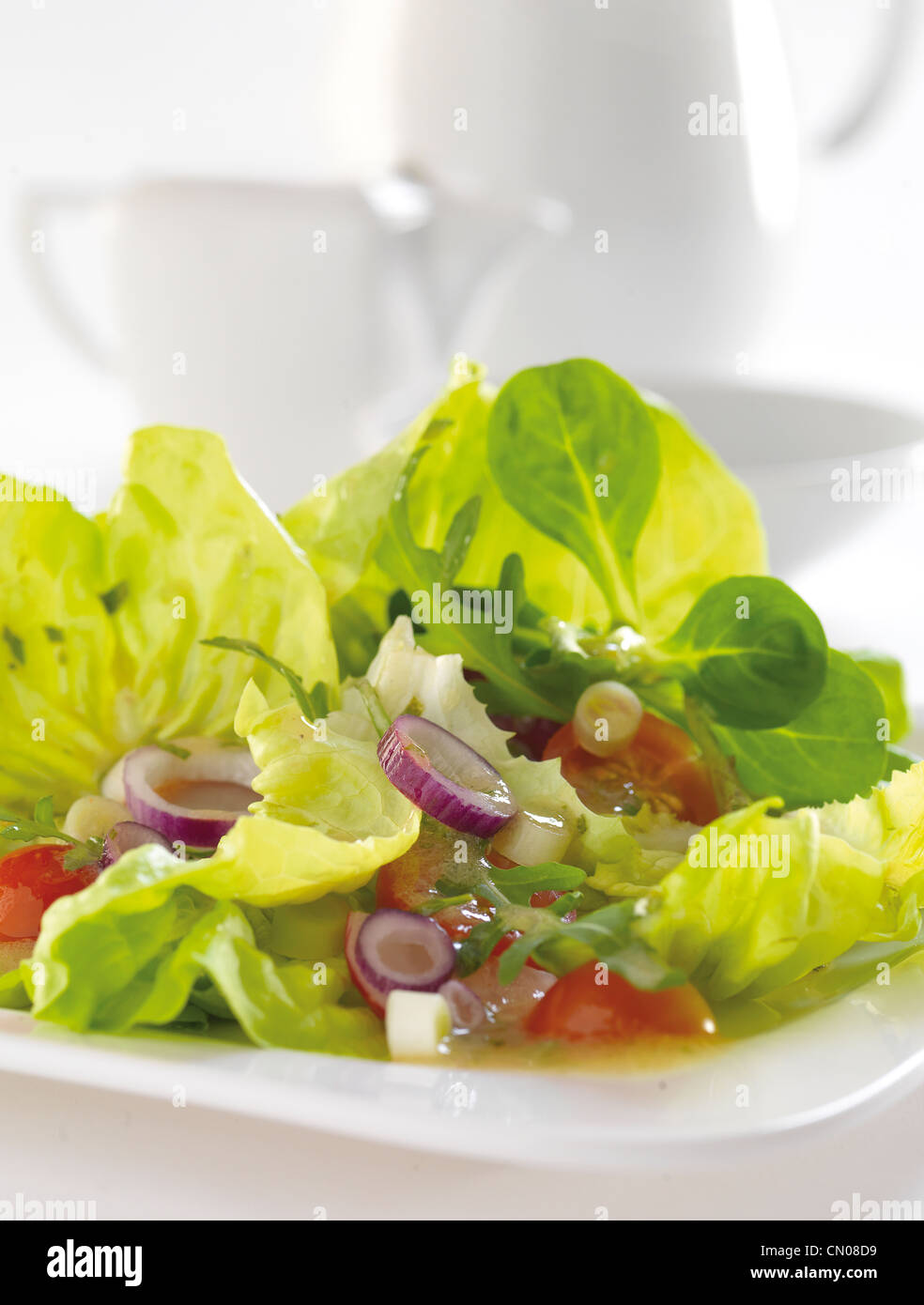 refreshing salad with olive and mustard sauce Stock Photo
