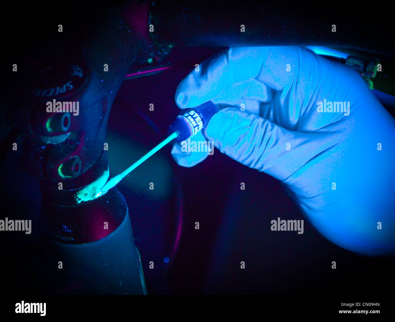 A CSI (Crime Scene Investigator) swabbing a forensic marker on a bike under ultra violet light Stock Photo