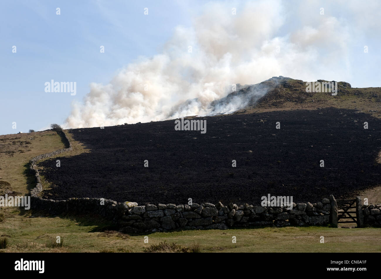 Controlled or prescribed burning, also known as hazard reduction burning or Swailing on Dartmoor,Devon,gorse,bracken,swaling,natural boundaries Stock Photo