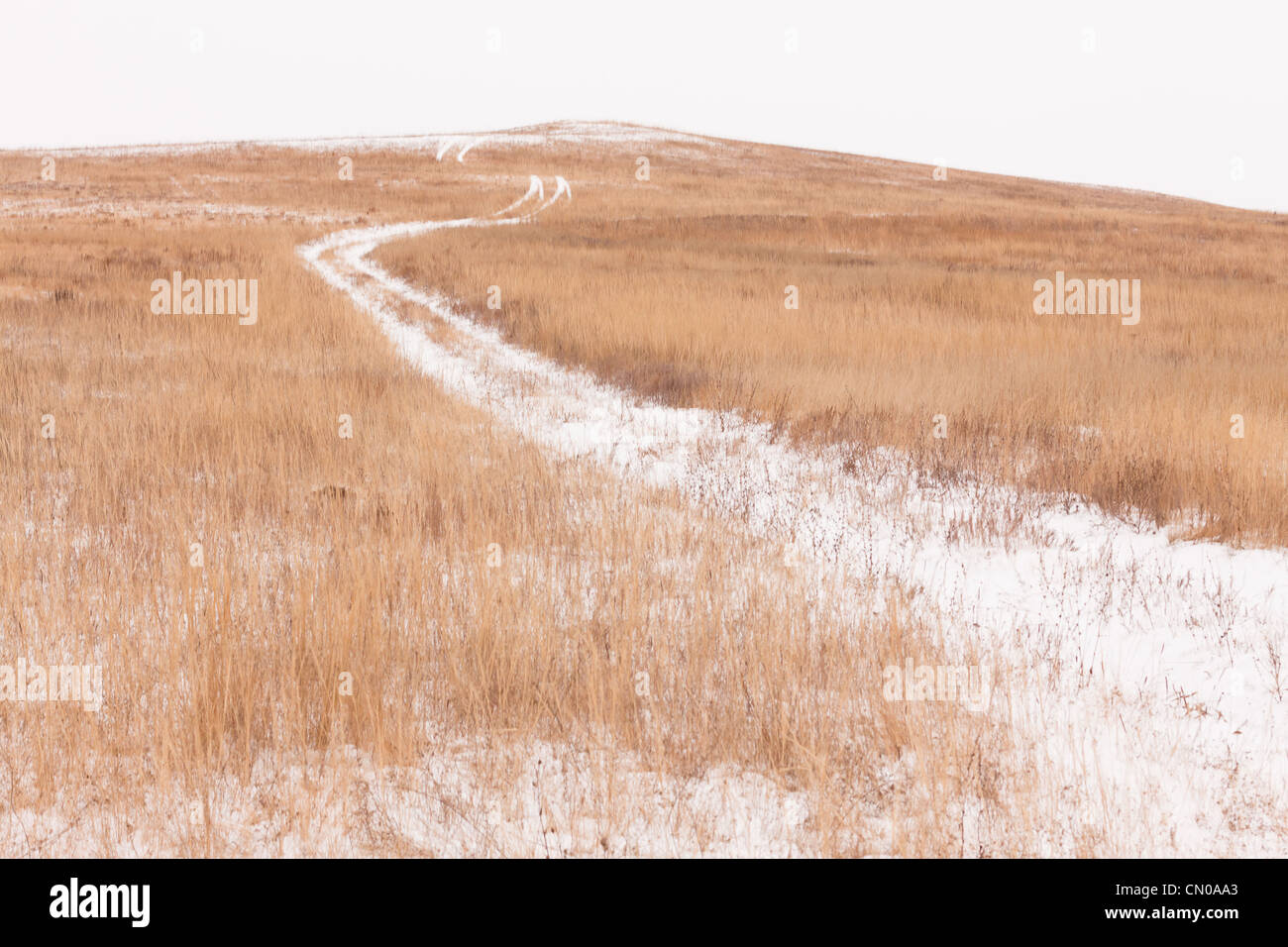 Road in autumn steppe, Orenburg region, Russia Stock Photo