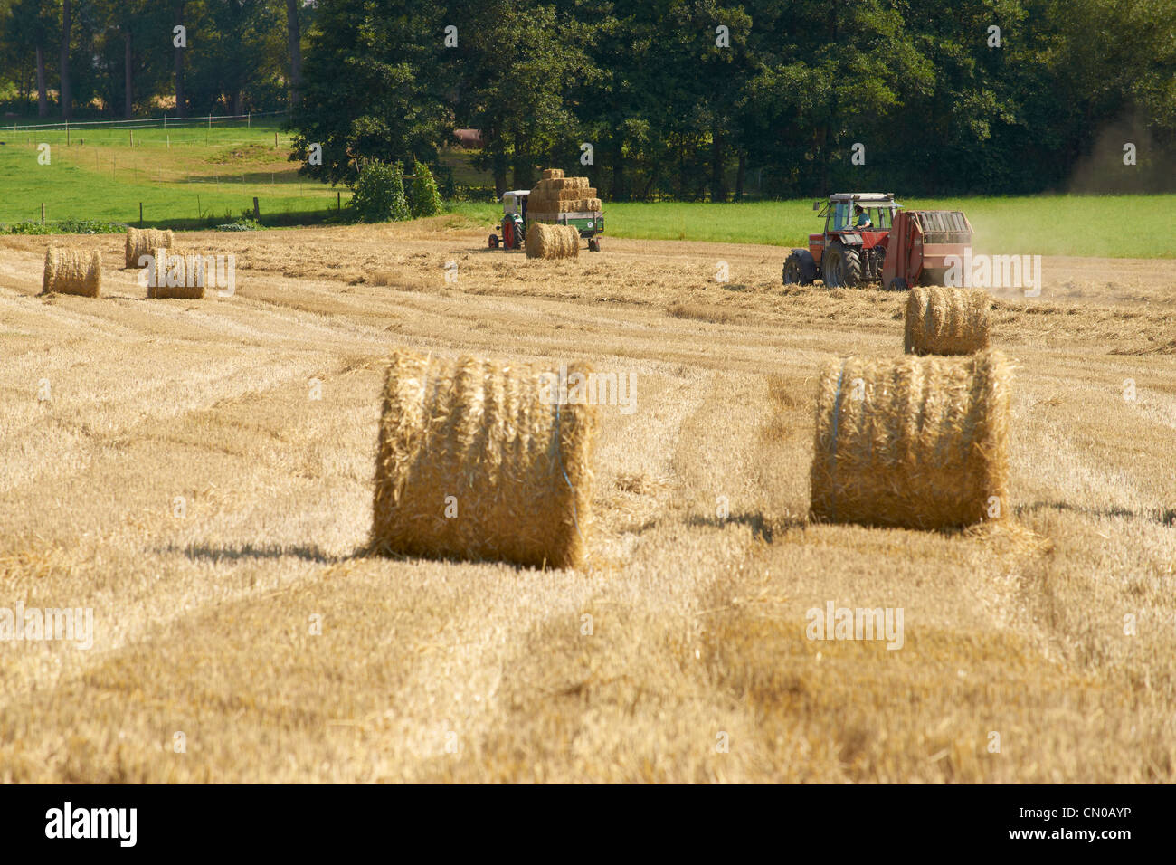 Straw making hi-res stock photography and images - Alamy