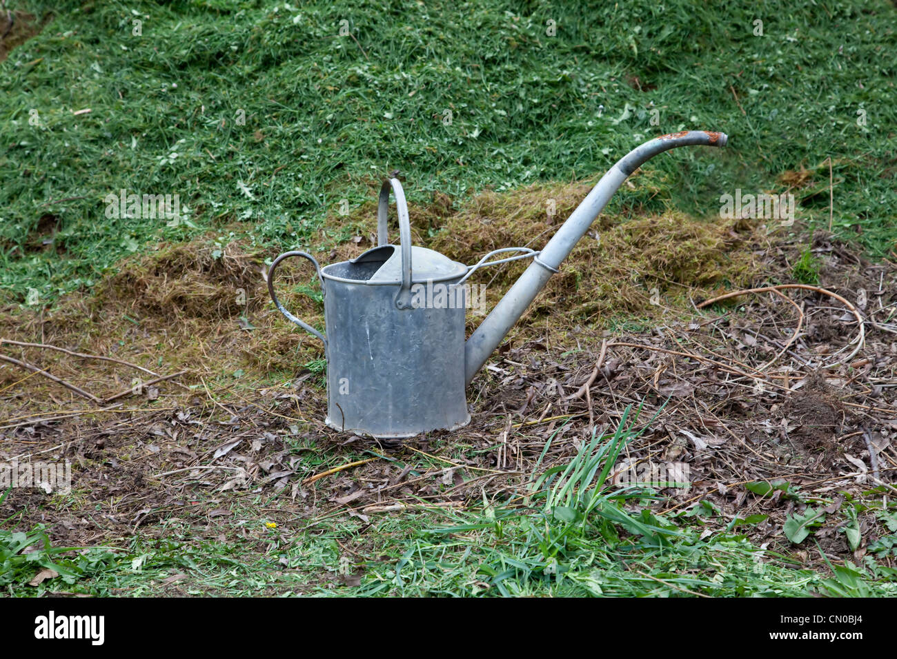 Old galvanised galvanized watering can with rusting spout Stock Photo Alamy