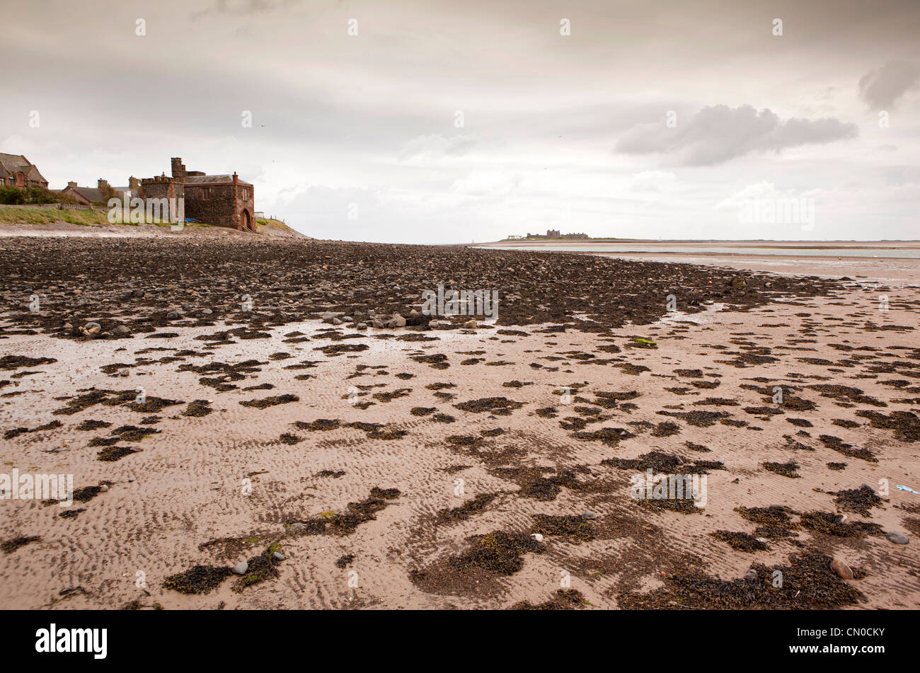 UK, Cumbria, Barrow in Furness, Roa Island, shore at low tide with Piel Island in distance Stock Photo