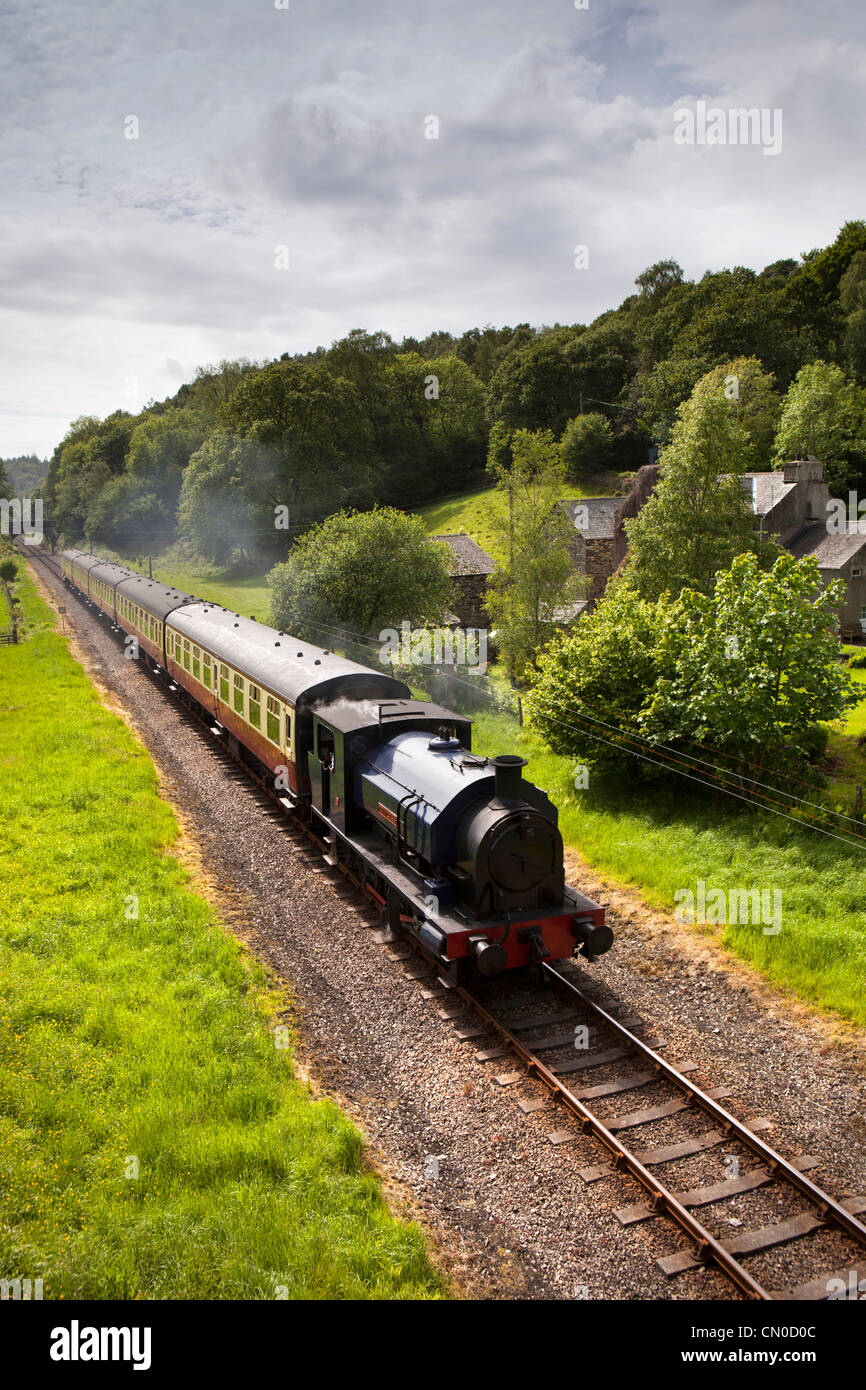 UK, England, Cumbria, Lakeside and Haverthwaite Railway steam pulled train approaching Newby Bridge station Stock Photo