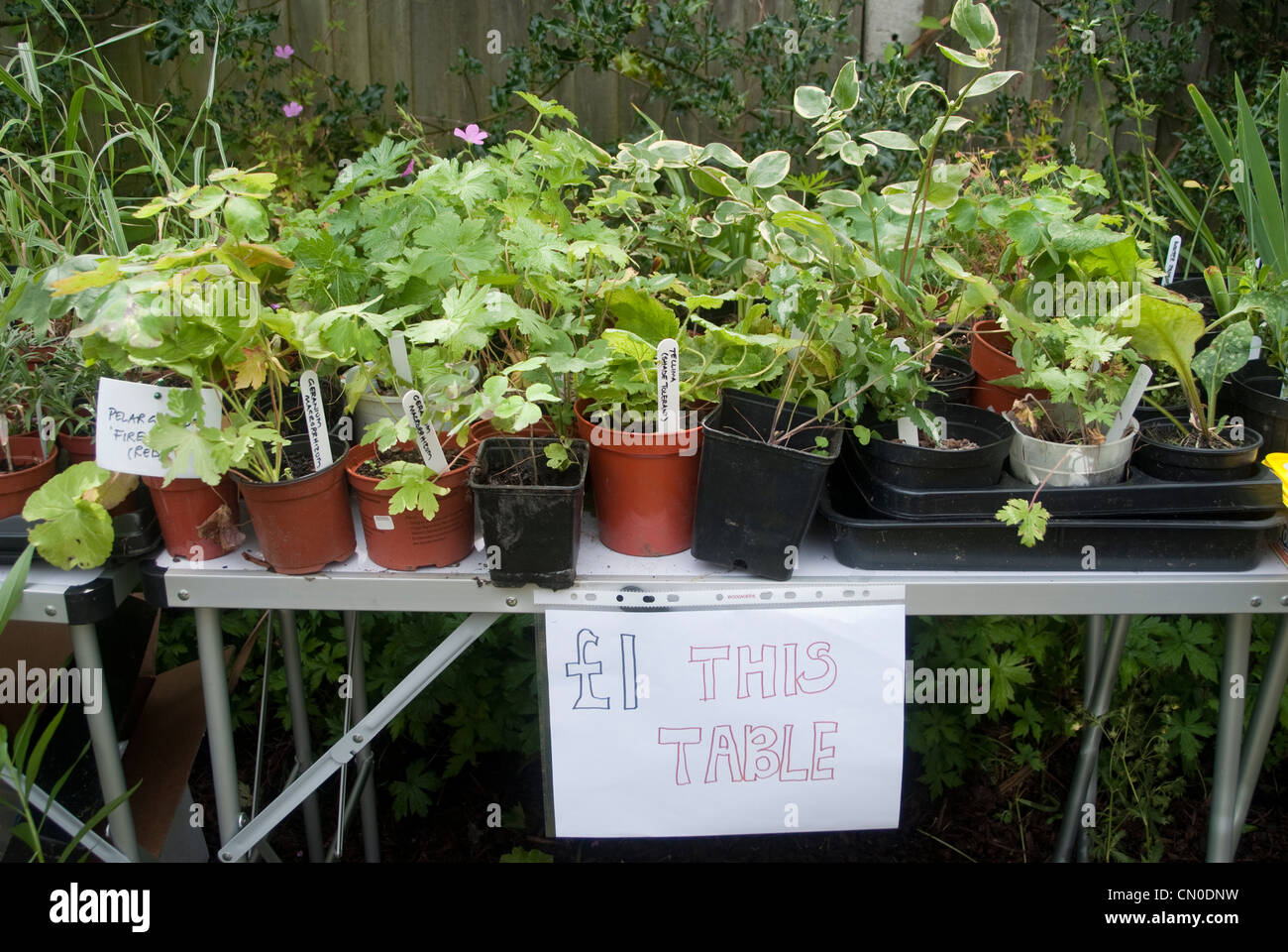 12+ Plant Sale Signs