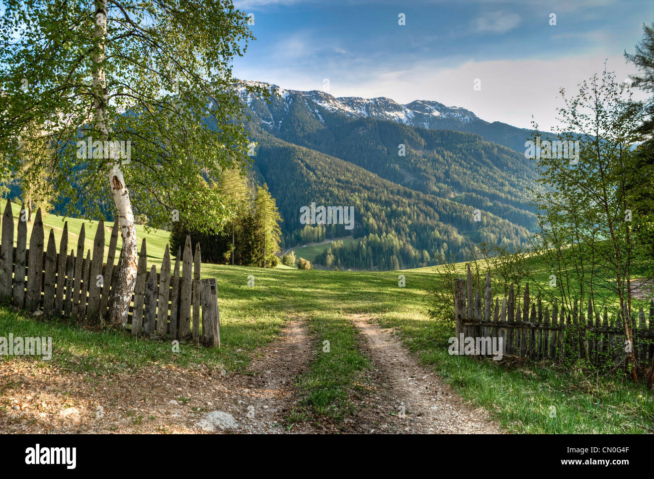 Two-lane path to a mountain meadow in the Italian Alps Stock Photo