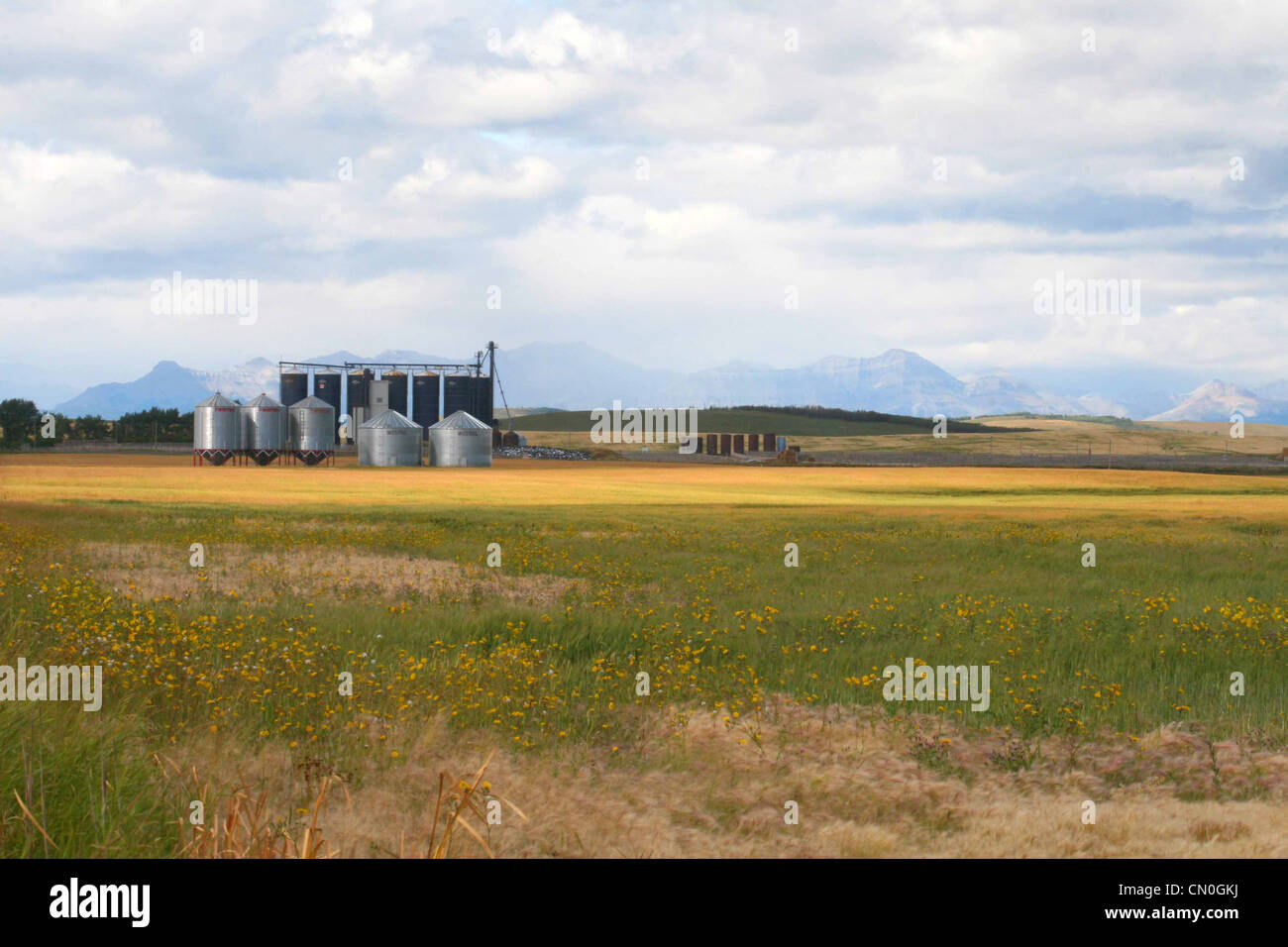 Modern Prairie farm grain storage bins near the Canadian Rocky Mountains Stock Photo