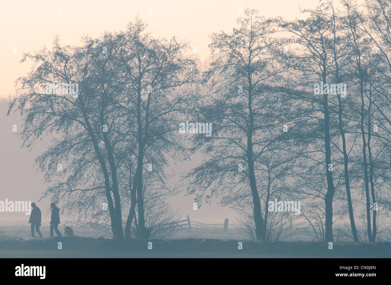 Couple walking a dog during a misty winter day Stock Photo - Alamy